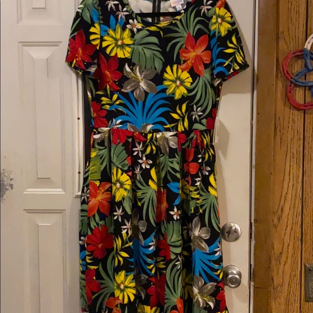 Lularoe Amelia